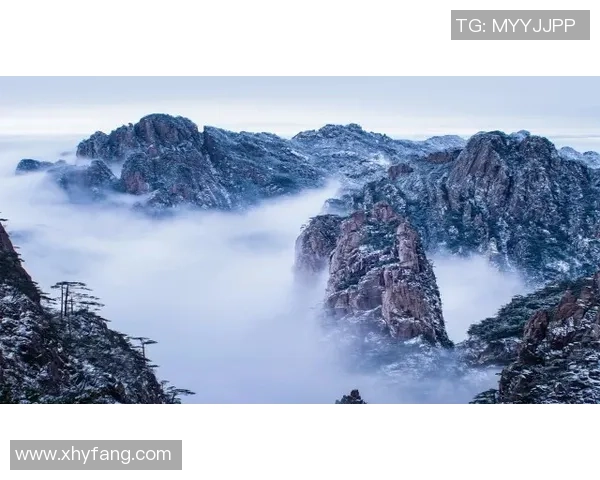 上海篮球队逆袭之路：从低谷到巅峰的精彩旅程与背后故事